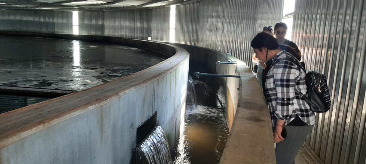 RAJA Constanța, exemplu de bune practici pentru&nbsp;studenți