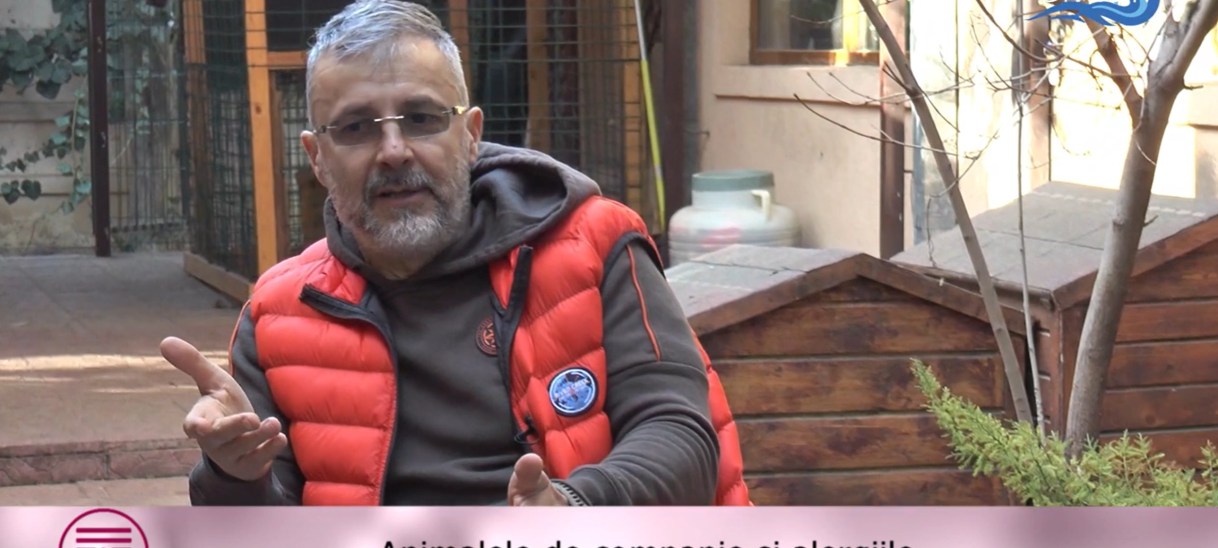 Pisică vs. câine: Ție ce animal de companie ți se&nbsp;potrivește?