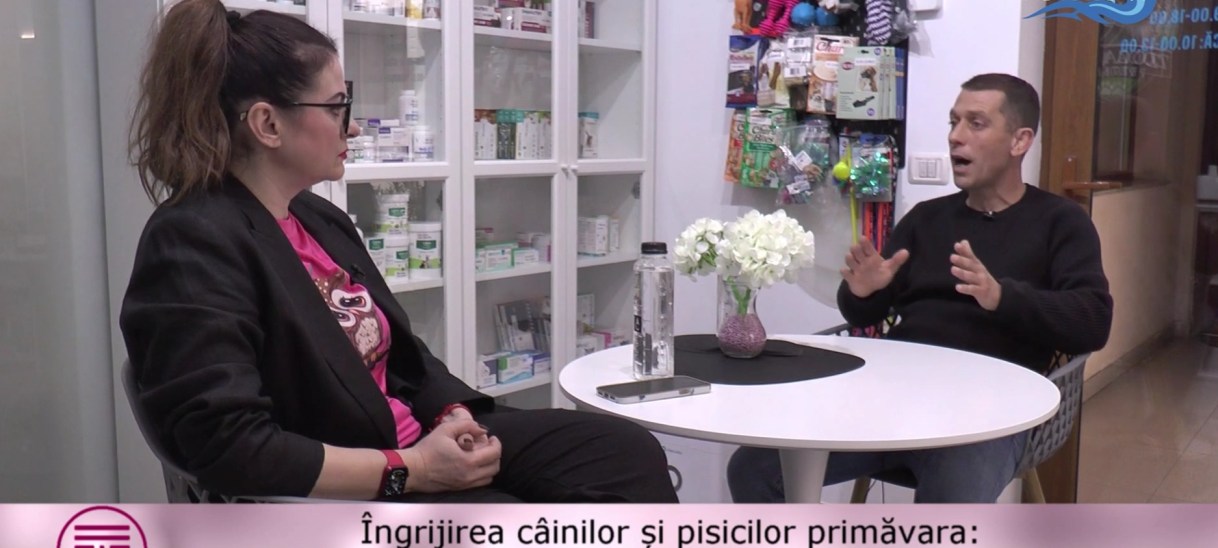 Cum îți protejezi câinele și pisica de paraziți primăvara? Răspunde dr. Alexandru Chesler