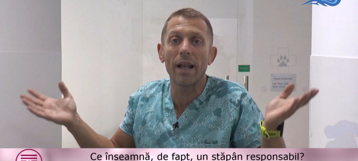 Dr. Alexandru Chesler, deparazitare, sterilizare și mituri periculoase: ce trebuie să știe orice stăpân de&nbsp;animale